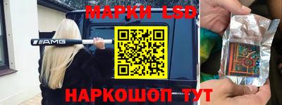 молекула духа Будённовск