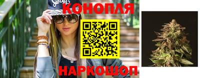 гидра Бузулук
