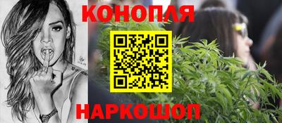 молекула духа Будённовск
