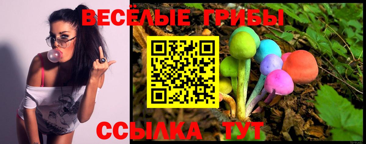Псилоцибиновые грибы GOLDEN TEACHER  Вход с VPN  Галлюциногенные грибы Cubensis  Соликамск 